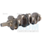 Crankshaft 4.4 "(83998218)