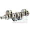 Crankshaft (3637401m91)