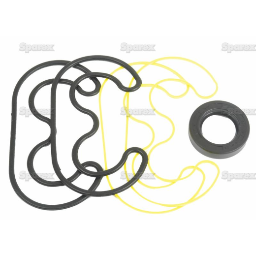 Seal kit hydraulic pump (1502030C1)