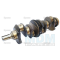 Crankshaft (83918890)