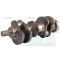 Crankshaft (AT18031)