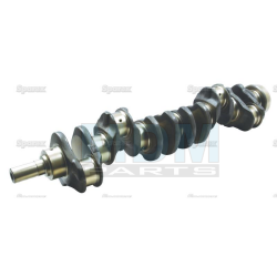 Crankshaft (AT22562)