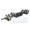 Crankshaft (AT22562)