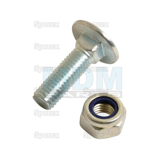 BOLT & NUT M10 X 40MM CUP HEAD