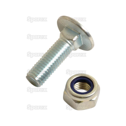 BOLT & NUT M10 X 40MM CUP HEAD