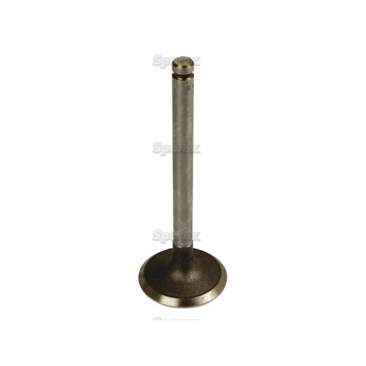 Inlet valve (31431641)
