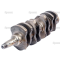 CRANKSHAFT-6 HOLE-4 CYL