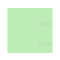 ASL PASTEL GREEN