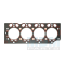 Cylinder Head Gasket Fendt Farmer 409 409NA