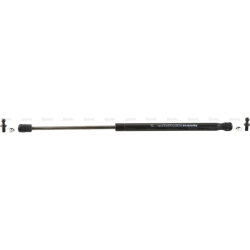 Bonnet Gas Strut