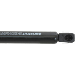 Bonnet Gas Strut