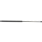 Bonnet Gas Strut