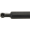 Bonnet Gas Strut