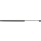 Bonnet Gas Strut