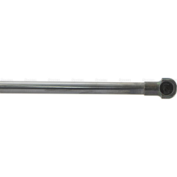 Bonnet Gas Strut