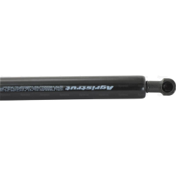 Bonnet Gas Strut