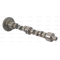 Camshaft (3637539M1)