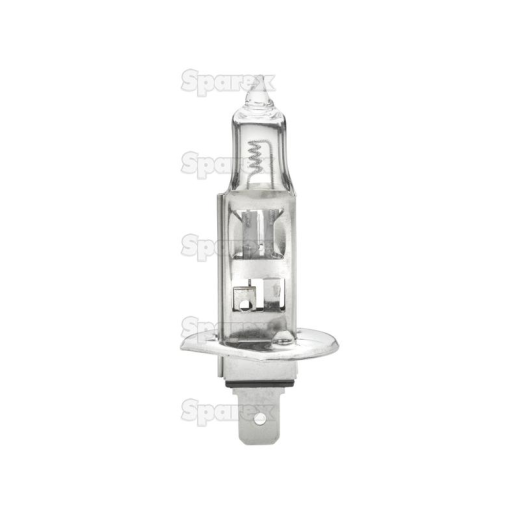 Bulb 24v P14.5s box