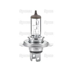 Bulb 12v P43t box