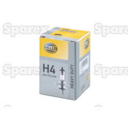 Bulb 24v P43t box