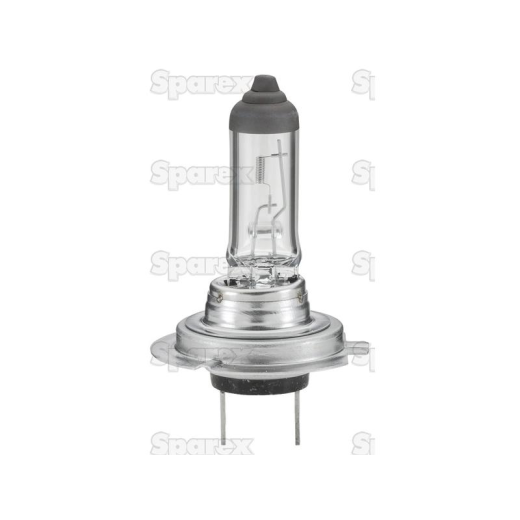 Bulb 12v PX26d box