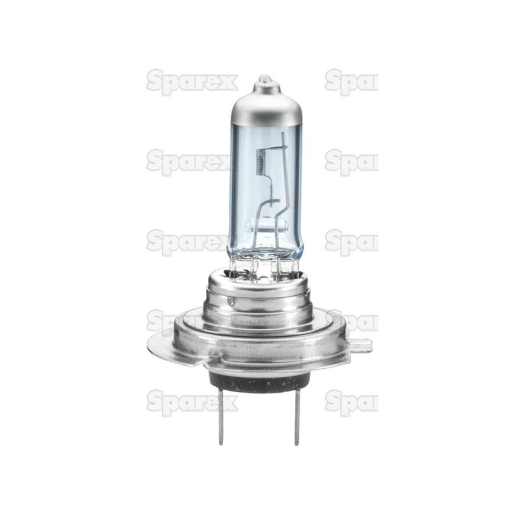 Bulb 12v PX26d blister