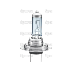 Bulb 12v PX26d blister