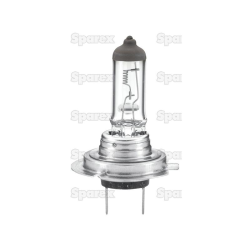 Bulb 24v PX26d box