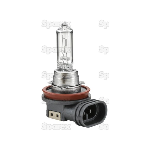 Bulb 12v PG19-5 blister