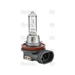 Bulb 12v PG19-5 blister