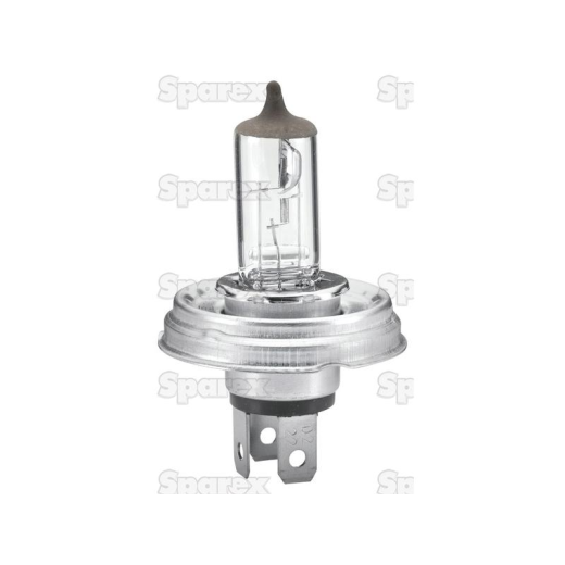 Bulb 12v P45t box