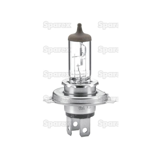 Bulb 12v P45t box