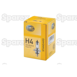 Bulb 12v P45t box