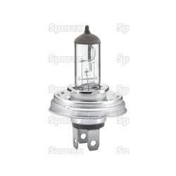 Bulb 24v P45t box