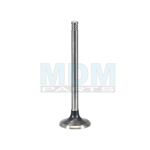 Exhaust Valve