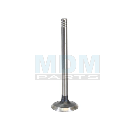 Exhaust Valve