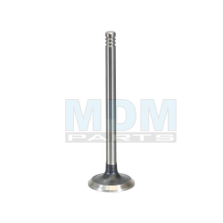 Exhaust Valve