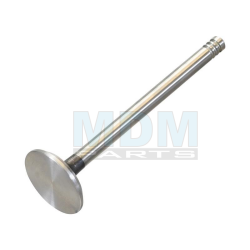 Exhaust Valve