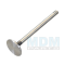 Exhaust Valve