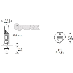 Bulb 24V 70W P14.5S PAK