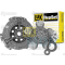 Clutch kit with bearings