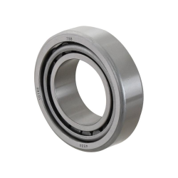 Axle bearing (1850088M91)