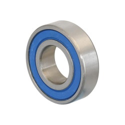 BEARING-ROLLER-60022RS 15X32X9