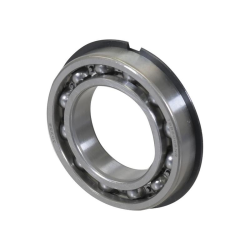 Ball bearing (195498 M1)