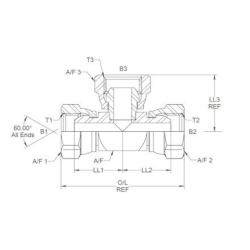 ADPT 1/4&quot;BSP T FFF