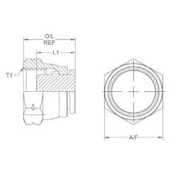 ADPT M18 BLANKING CAP