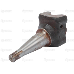 Axle bolt (55113401)