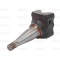 Axle bolt (55113401)