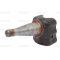 Axle bolt (55113401)