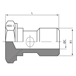 BANJO BOLT 1&quot; BSP